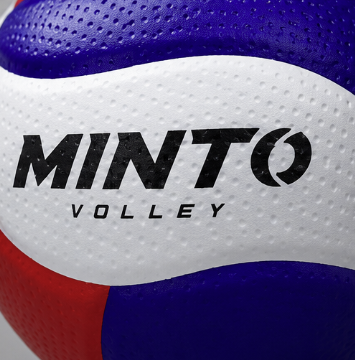 MV18 PRO Volleyball